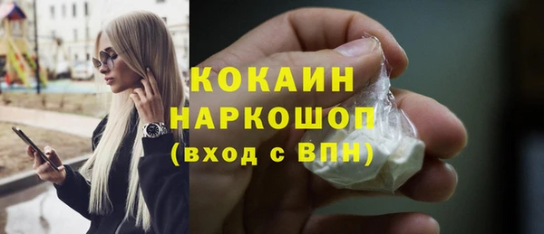 ешки Бронницы