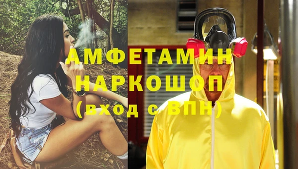 spice Бородино