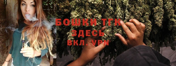 spice Бородино