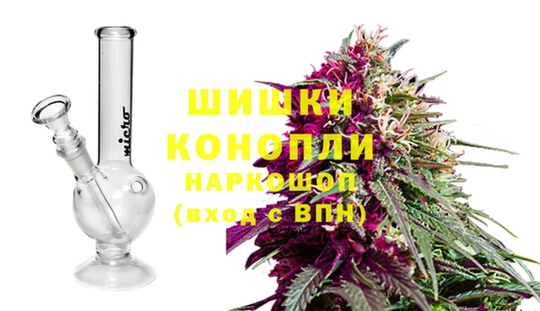 spice Бородино