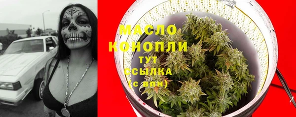 spice Бородино